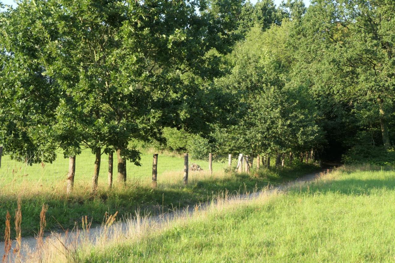 Ferienzimmer Suhrer Seeblick Plön Екстериор снимка